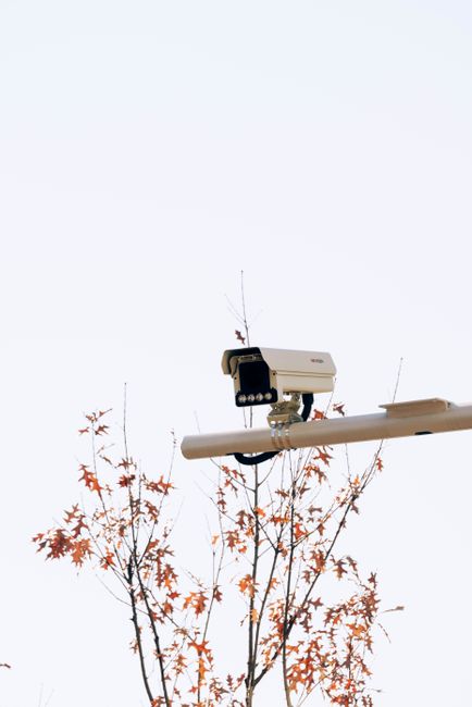 Security camera mounted above tree branches under a clear daytime sky, capturing a sense of modern safety.